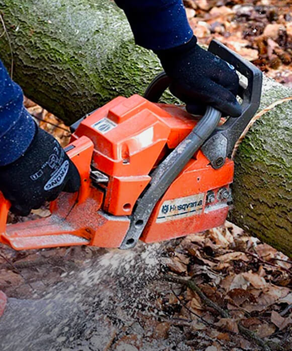 chainsaw for timber industry